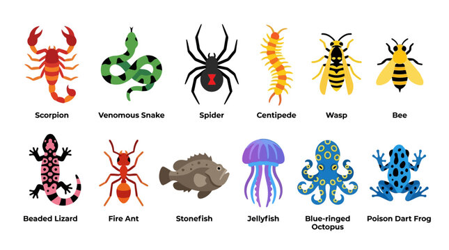 Dangerous Venomous and Poisonous Animals Flat Icon Chart Vector Illustration