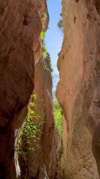 View of Avakas Gorge, one of main attractions of Cyprus, located in Paphos area. Concept about traveling, tourism, active lifestyle.Vertical view 