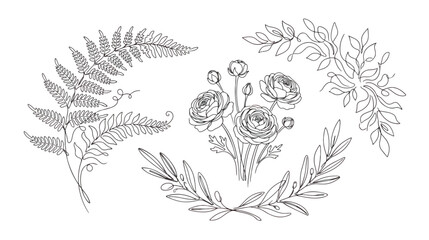 Minimalist botanical line art collection, hand drawn floral sketches with fern leaves and ranunculus flowers, elegant black and white vector set © Dream Time Studio