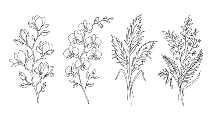 Minimalist botanical line art collection, hand drawn floral sketches of magnolia and orchid, elegant pampas grass and fern leaf vector set © Dream Time Studio