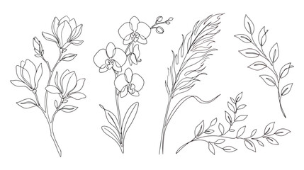 Minimalist botanical line art collection, elegant floral sketches of magnolia and orchid, hand drawn pampas grass and leaf branches, black vector outlines © Dream Time Studio
