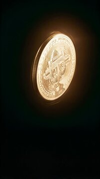 Single Gold Bitcoin Coin Mid-Flip Tumbling Dark Void Slow Motion Studio Lighting Liquid Gold Metallic Surface Motion Blur Edges Vertical Video