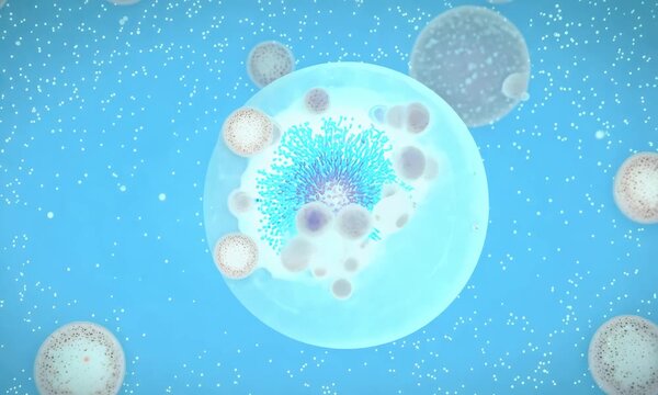 Detail of a stem cell undergoing mitosis under a microscope