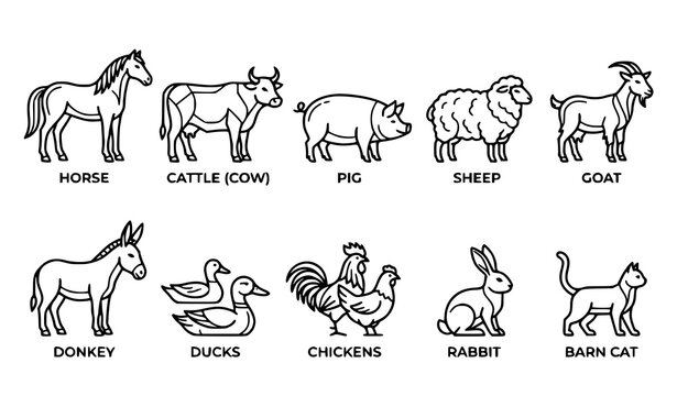 Farm Animal Outline Vector Set with Minimal Rural and Agricultural Icons