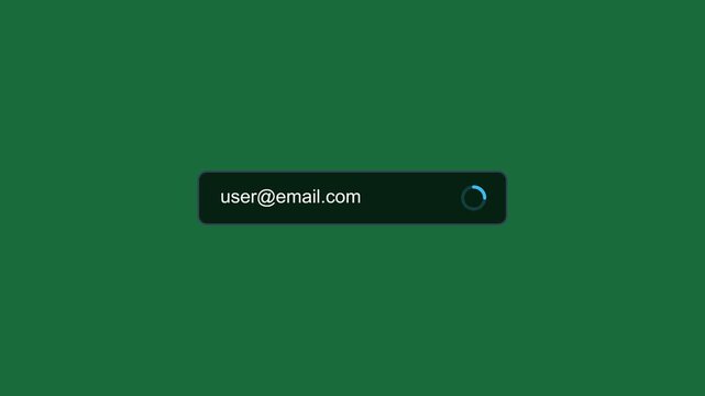Email address validation animation with success checkmark