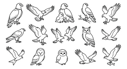 Fototapeta premium Minimalist bird of prey line art collection, 15 eagle and owl vector icons, black and white predatory bird illustrations for nature logos