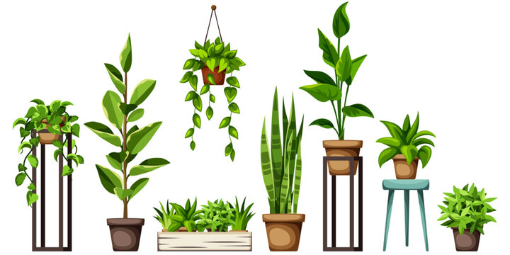 Set of green houseplants isolated on a white background. Potted plants. Cartoon vector illustrations