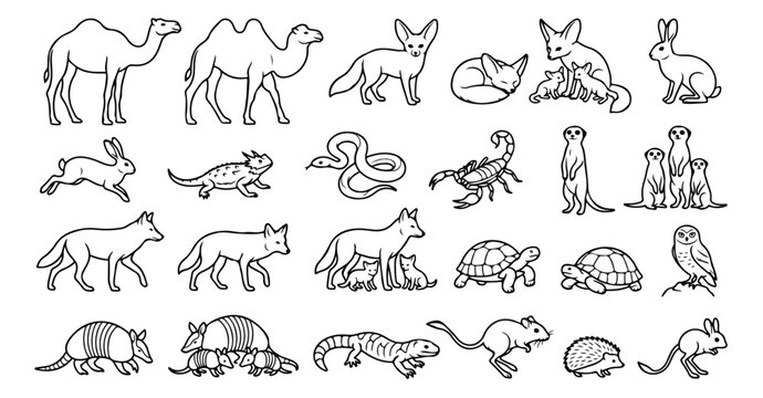 Desert animals line art collection, 25 minimalist wildlife vector icons, black and white safari creature illustrations for educational coloring books