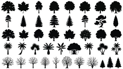 Black tree silhouettes collection, 45 botanical vector icons of deciduous and coniferous trees, forest and tropical palm tree shapes for landscape design © Shahzad
