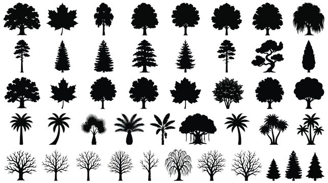 Black tree silhouettes collection, 45 botanical vector icons of deciduous and coniferous trees, forest and tropical palm tree shapes for landscape design