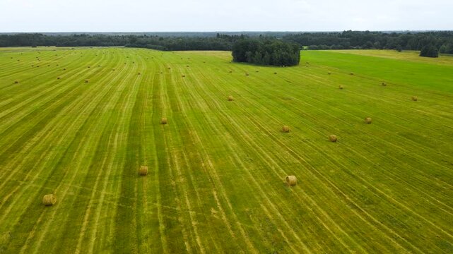 Stunning aerial top down perspective flying over a mowed green field with numerous round hay bales ready for collection after harvest