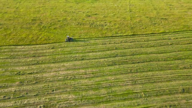 High angle drone view of a tractor moving through a vast green field, mowing grass and creating neat rows for harvesting hay
