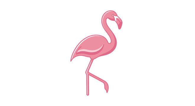 Pink Flamingo Bird Standing Alone.