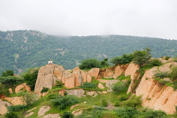 Fototapeta premium landscape of the mountains