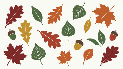 Collection of colorful autumn leaves and acorns. © Ira Project
