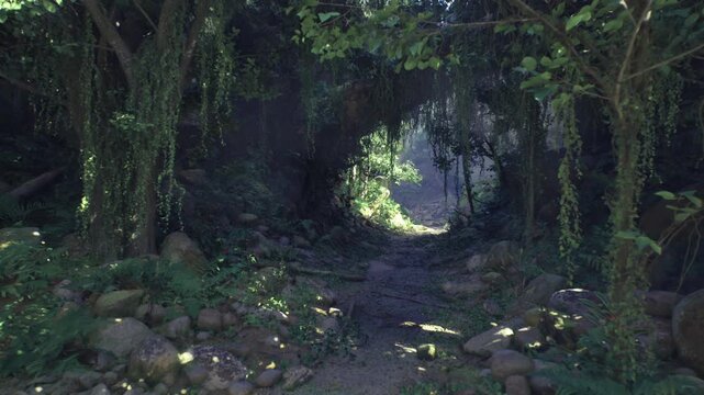 dusklit forest aisle toward open ring of light, soft shadows, scattered lichen, cool palette evoking calm evening, perfect mood shot for atmospheric editorials