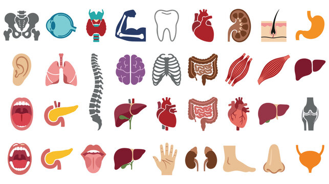 Various human organs and body parts anatomy symbols.