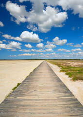 Obraz premium wooden walkway to the sea in summer season