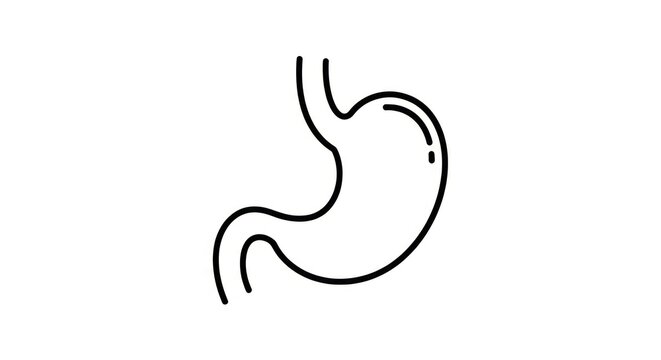 Minimalist black and white line art of a human stomach organ