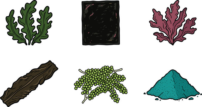 Edible Seaweed and Algae Vector Icon Set Featuring Nori Sheets, Kelp, Wakame, Sea Grapes, Red Algae, and Spirulina Powder for Asian Food Designs