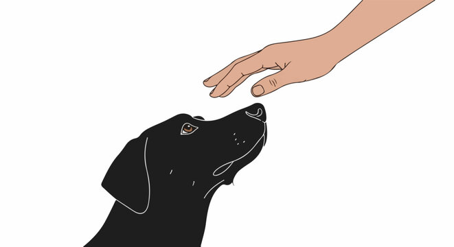 A black dog looks up expectantly at a human hand reaching down towards it