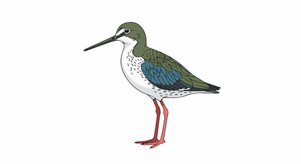 Obraz premium A cartoon-like illustration of a sandpiper with green-blue feathers on its back