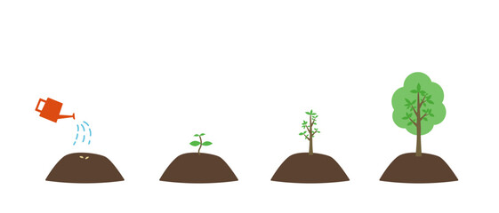 種から木に育つ植物の成長過程のイラスト © miyako