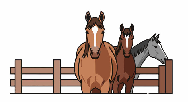 Three horses with brown manes and white markings stand behind a wooden fence