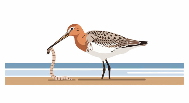 Bird on sand pulls worm from blue and white wavy shore