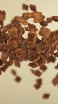Dog food flies up and down. Filmed on a high-speed camera at 1000 fps. High quality FullHD footage