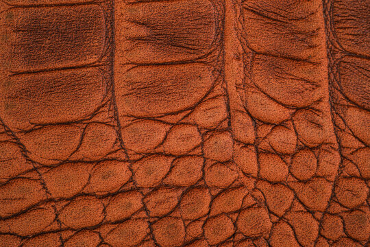 Brown reptile leather underside close up with suede texture and soft matte grain surface