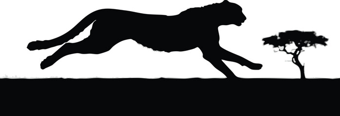 Running cheetah silhouette in the African savanna with an acacia tree, black and white minimalist wildlife graphic design background illustration © Raju