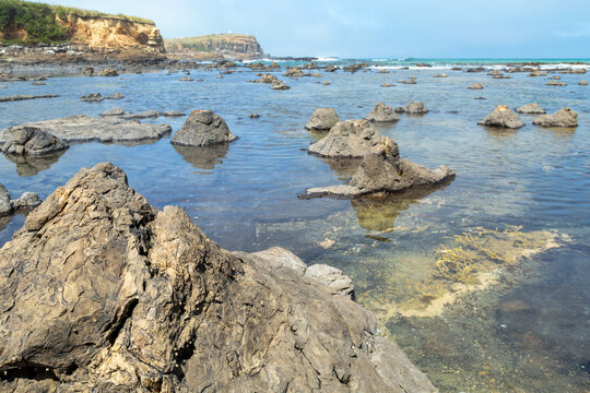 A coastal 180-million-year-old Jurassic petrified forest at low tide