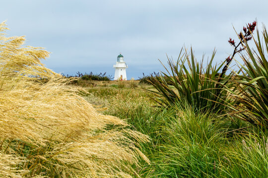 Waipapa Point Lighthouse framed by tall native plants.