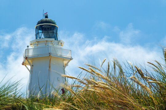 Waipapa Point Lighthouse surrounded by tall grass in seed.