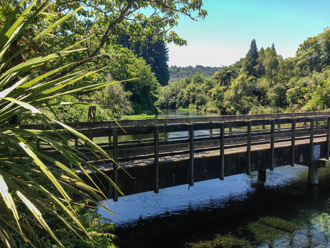 Wooden bridge at Hamurana Springs, Roarua.