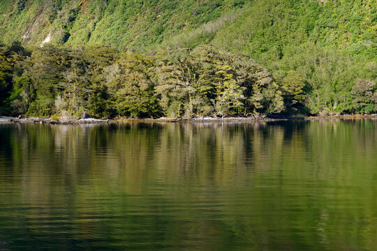 Green mountainside reflected in a lake.