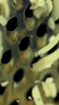 The grated cheese falls down. Filmed on a high-speed camera at 1000 fps. High quality FullHD footage
