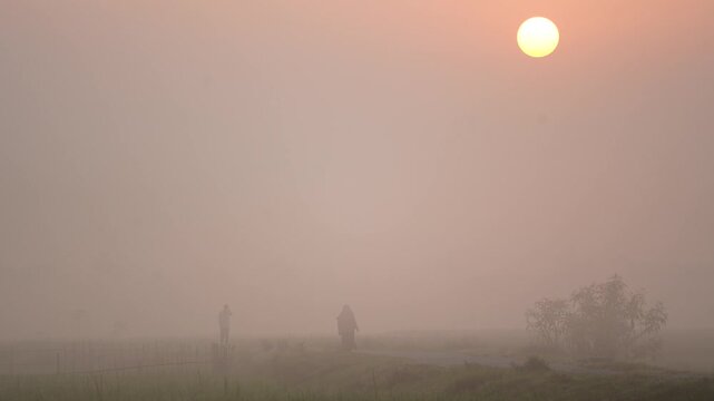 View of silhouettes of people walking along a rural path through thick morning fog under a glowing sun in Bogura, Rajshahi Division, Bangladesh.