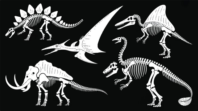A black and white illustration of dinosaur skeletons on a dark background