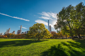 Fototapeta premium Central Park landscape with green lawn, trees and Manhattan skyline under sunny autumn sky in New York City USA
