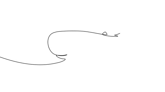 Continuous One Line Whale Ocean Sea Animal Minimal Marine Animation