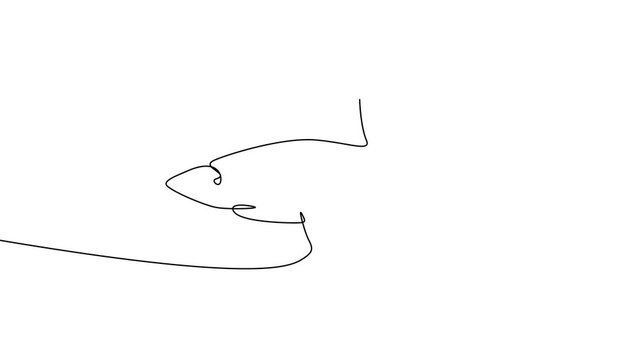 Continuous One Line Shark Ocean Sea Animal Minimal Marine Animation