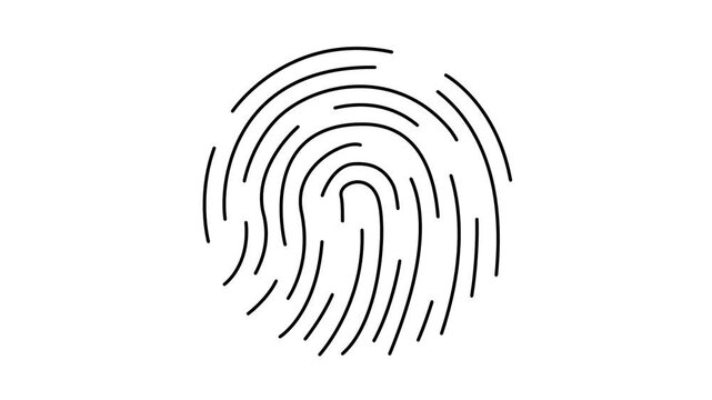 Black lines animating to form a circular human fingerprint on a solid white background.