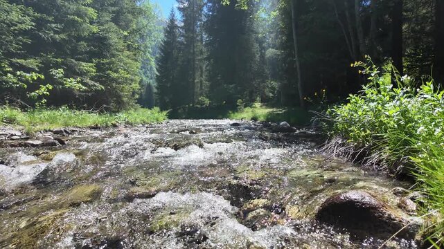 torrente fiume estate montagna corso d'acqua 