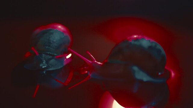 Snails moving slowly on a shiny surface with red lights at night in a closed space
