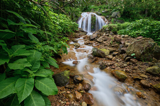 Klenting Kuning Waterfall