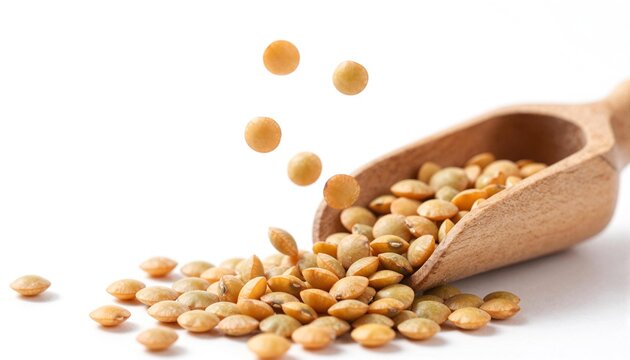 Close-up of brown and yellow dried lentils spilling from a wooden scoop on a white background, a pantry cooking ingredient and plant-based high-protein food