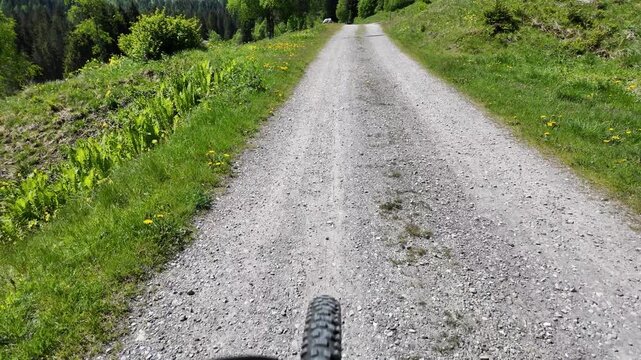 bici in montagna mtb pedalare e-bike 