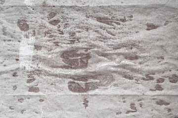 Fototapeta premium Wet splashes on crumpled dirty paper. Wet paper. Blank sheet